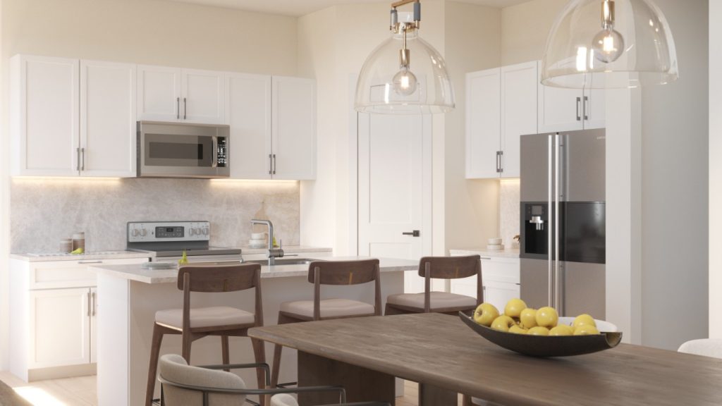 Chestnut Transitional Model - 3/2 home in Ocala - Kitchen